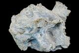 Fibrous, Blue Chalcedony Formation - India #178447-1